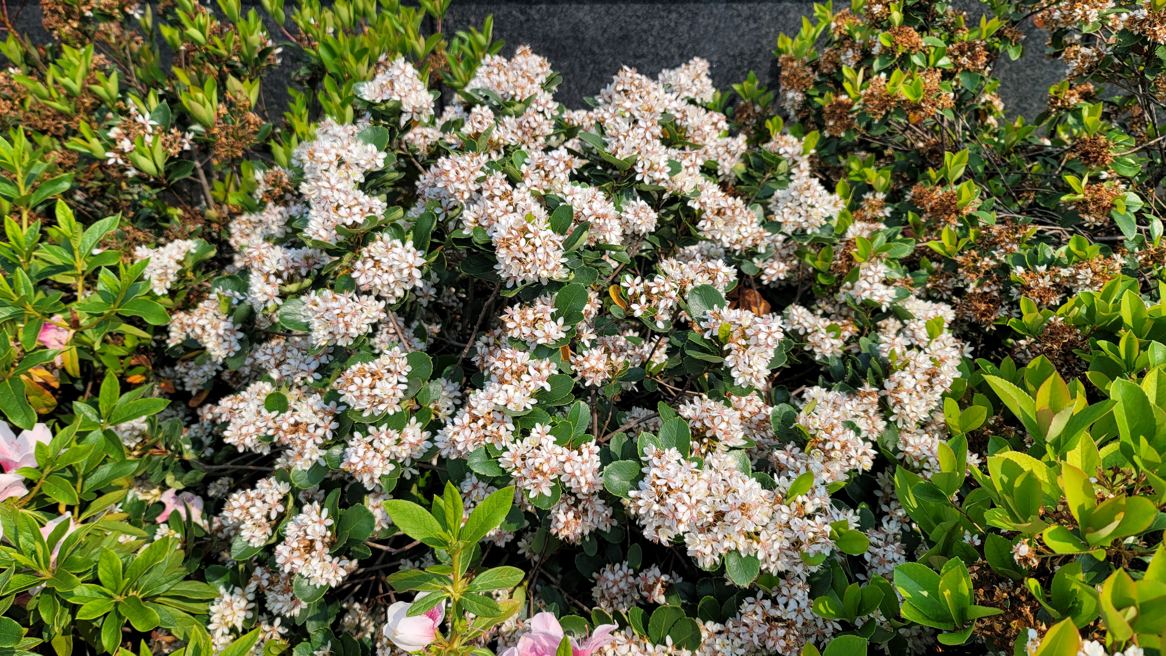 Slide Image