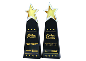 Award Image