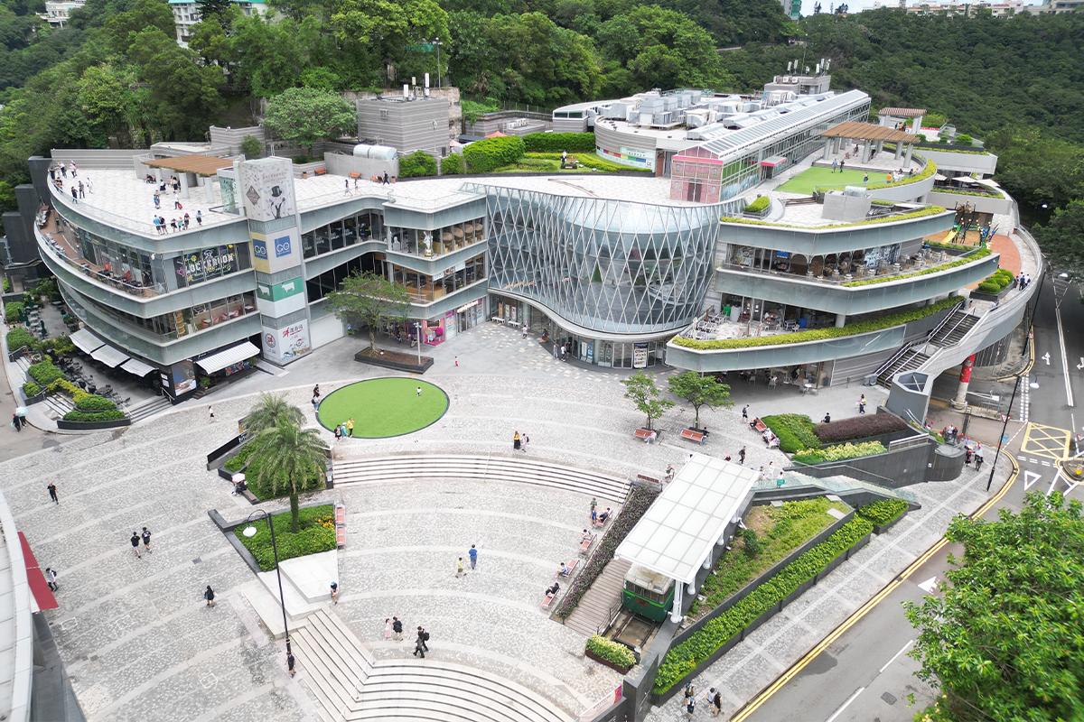 Slide Image